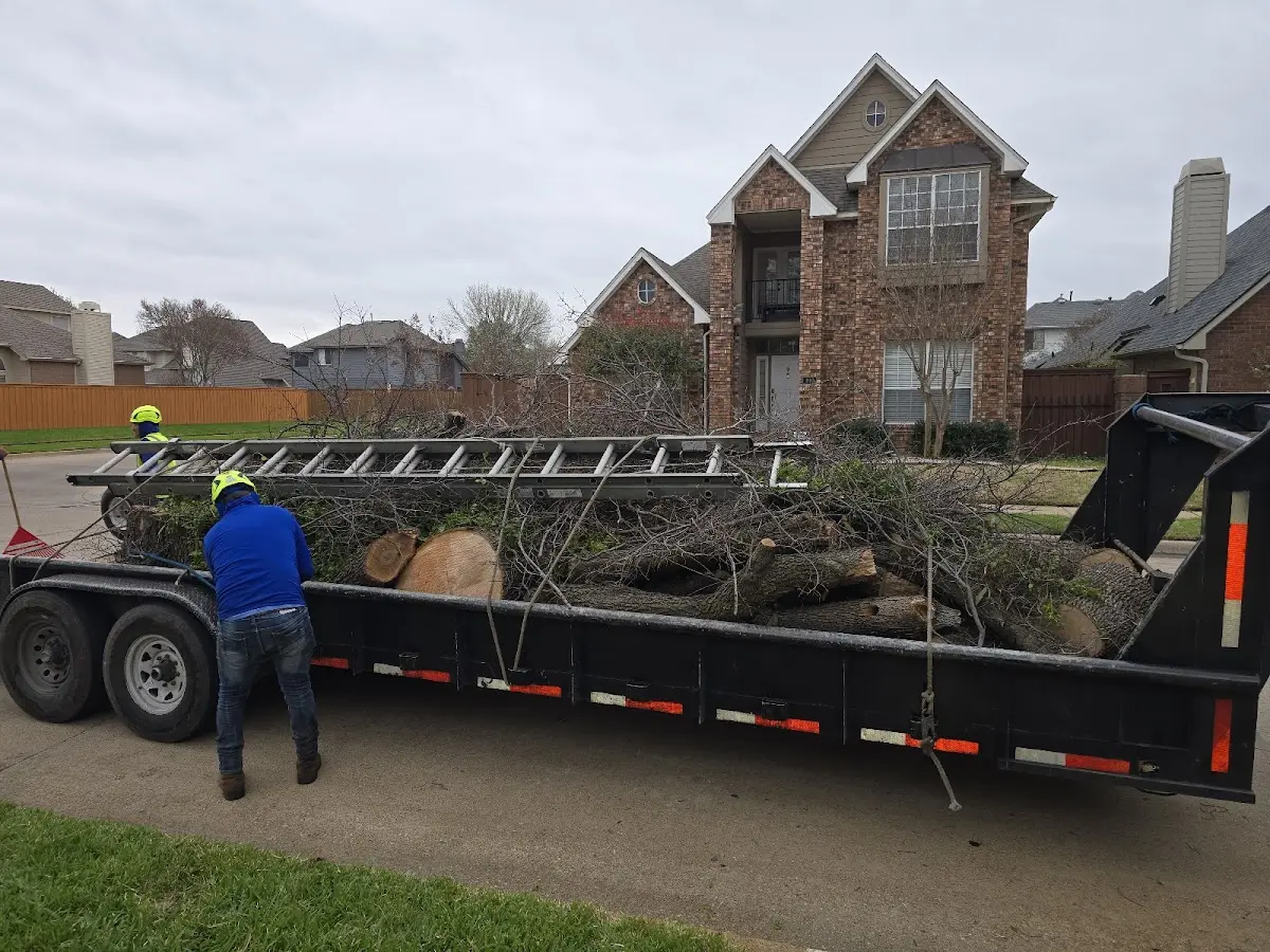 Expert Tree Fertilization with proper safety equipment in University Park